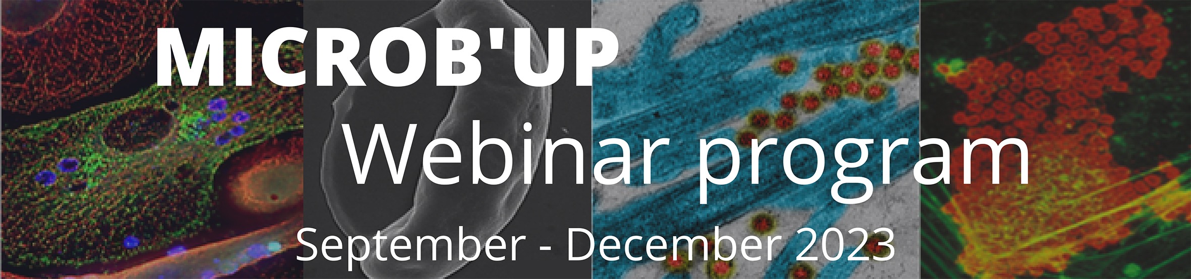MicrobUp Webinar 5