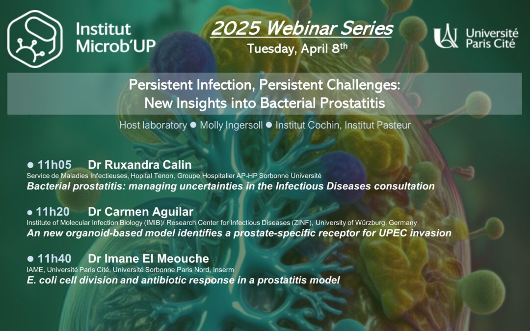 MICROB’UP Webinar Series: Persistent Infection, Persistent Challenges: New Insights into Bacterial Prostatitis – 8 avril 2025