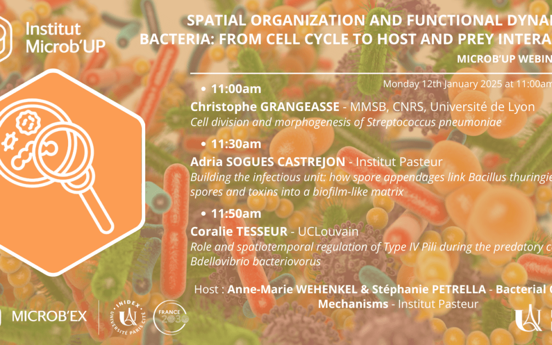 MICROB’UP Webinar series : Spatial Organization and Functional Dynamics in Bacteria: From Cell Cycle to Host and Prey Interactions