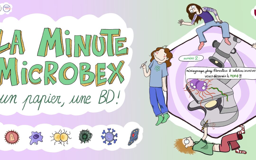 La minute MICROBEX numéro 2