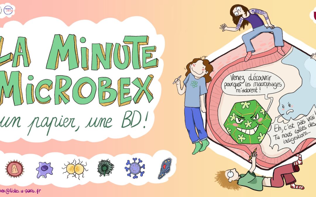 La minute MICROBEX numéro 3