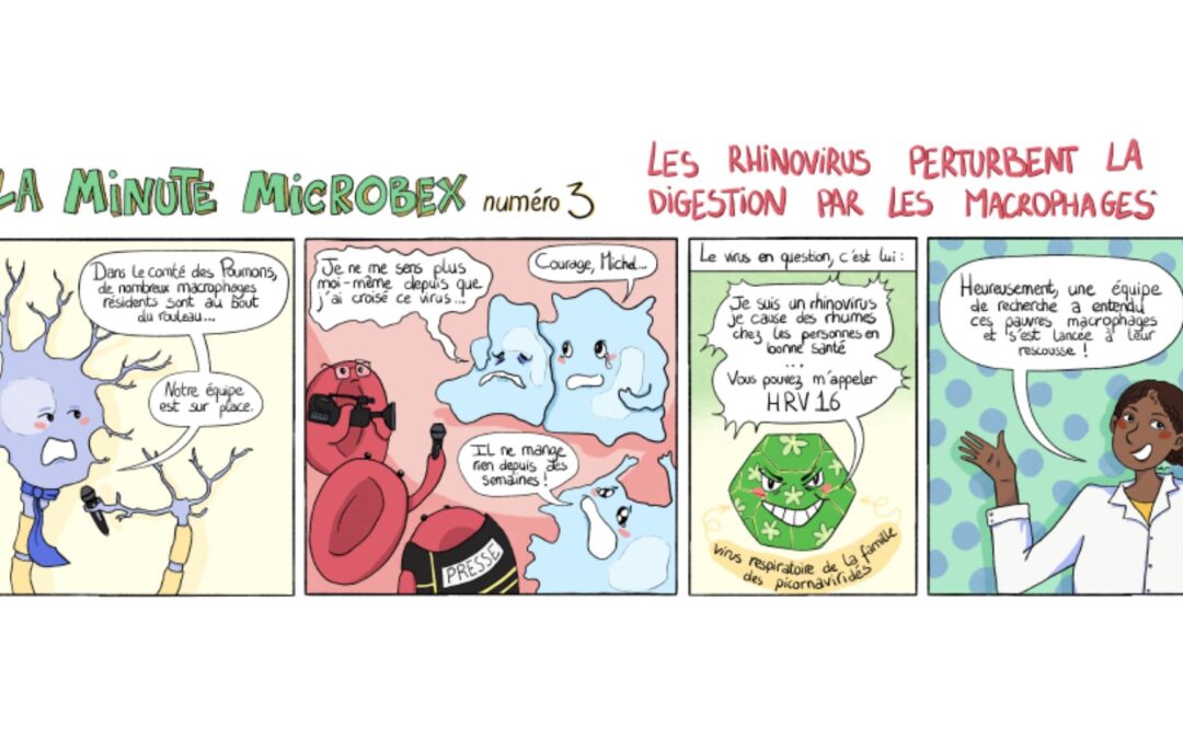 La minute MICROBEX numéro 3