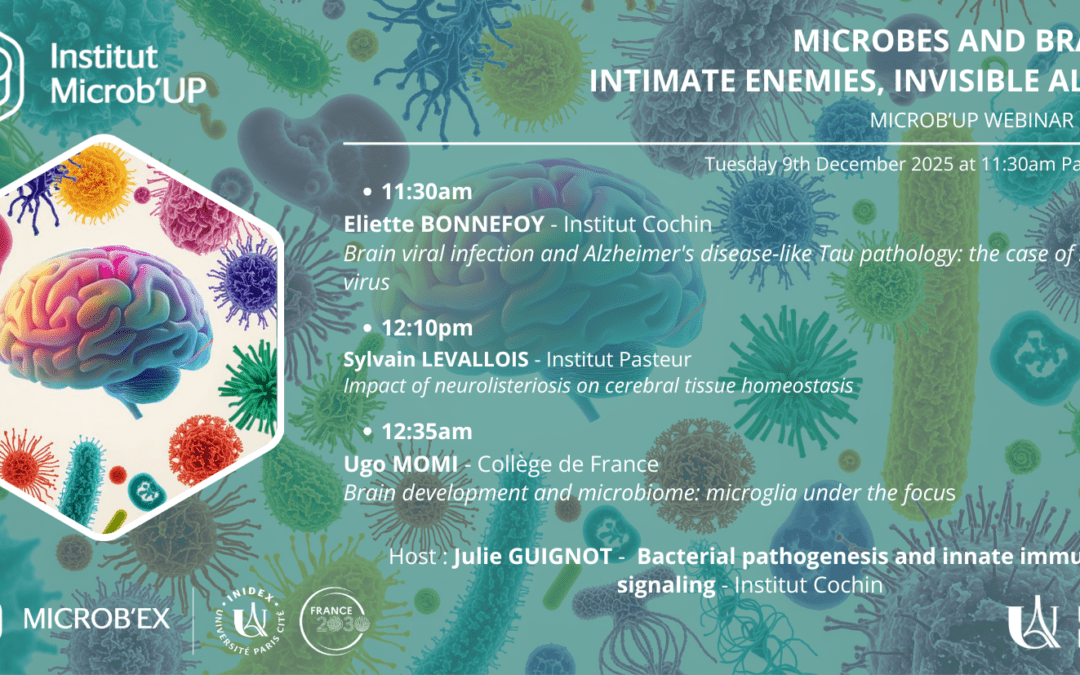 MICROB’UP Webinar series : Microbes and brain: intimate enemies, invisible allies – 9 décembre 2025
