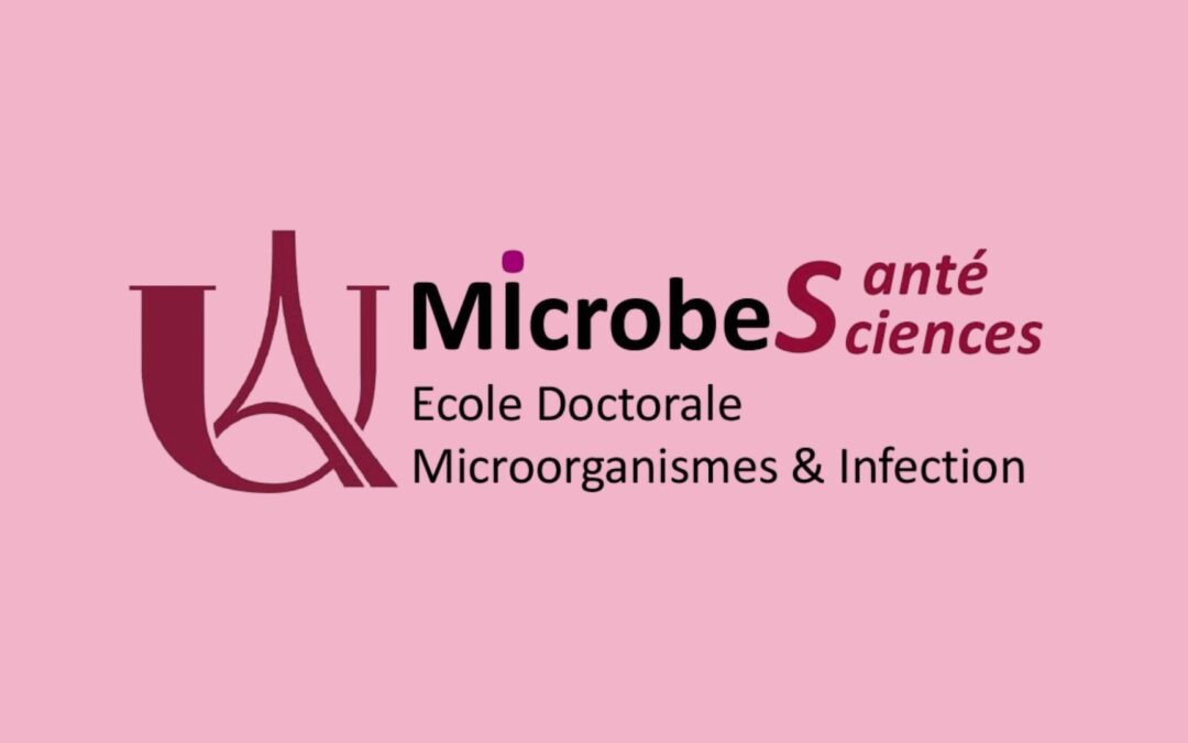 The MIcrobeS Doctoral School: a strategic framework for doctoral training in microbiology and infectious diseases at Université Paris Cité